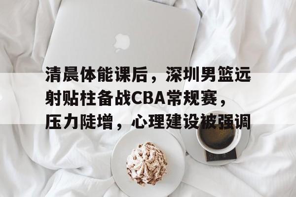 包含清晨体能课后，深圳男篮远射贴柱备战CBA常规赛，压力陡增，心理建设被强调的词条-九游云游戏网页版